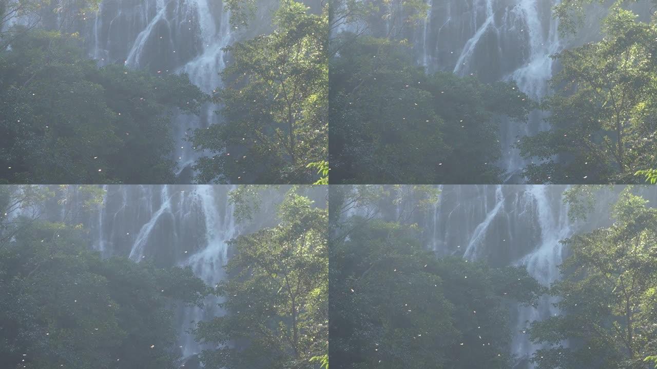 蜻蜓在瀑布和森林的背景下飞行