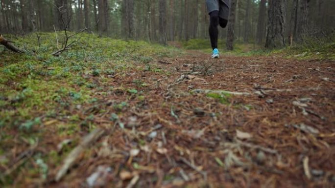 在松树森林小径上奔跑的人。积极的生活方式户外锻炼。跑步者腿特写慢动作滑块镜头
