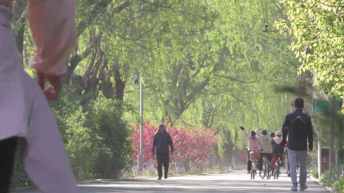 公园早晨骑行骑车跑步锻炼退休生活河边早晨