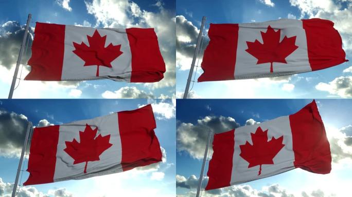 加拿大的国旗也被称为在风中飘扬的枫叶