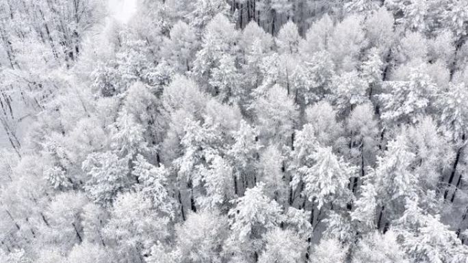 雪暴的概念，寒冷的考验，恶劣的气候条件。极端寒冷，冻雨，雪，冰和大风。