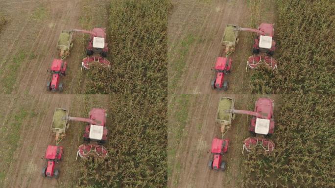 在秋季，在拖拉机拖车中使用饲草收割机收获玉米