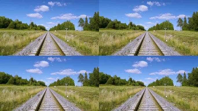 爱沙尼亚铁路边的绿草