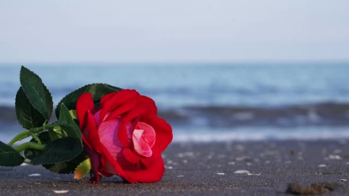 织物制成的人造玫瑰花躺在波浪中