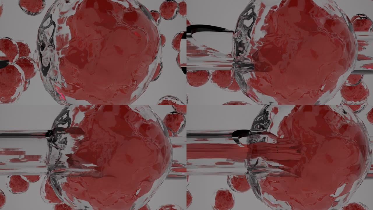接受纳米针抽吸的人类干细胞的3D动画，用于提取用于免疫疗法，研究和癌症治疗的基因组。白色背景上的浮动