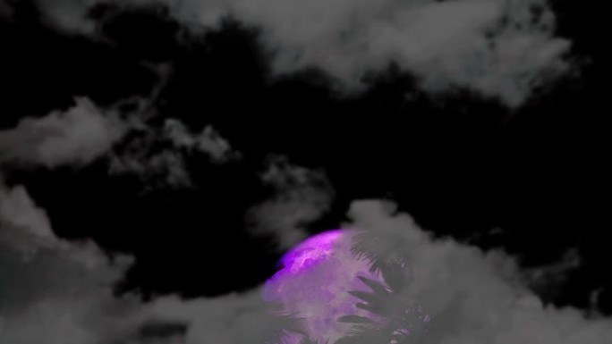 满紫色冷月升起椰子树，夜空乌云时间流逝