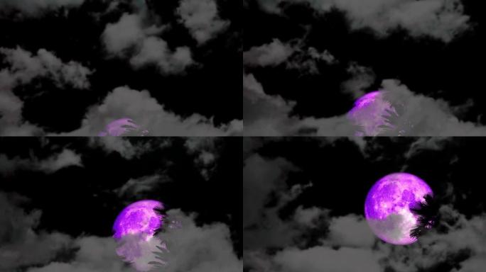 满紫色冷月升起椰子树，夜空乌云时间流逝
