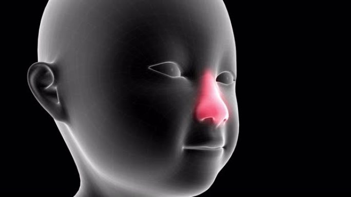 儿童x射线全息图的3d动画显示了带有alpha通道的鼻子上的疼痛区域