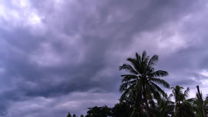 肥胖的雨云在棕榈树背景下的延时运动。