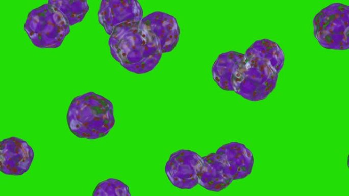 白细胞流动，嗜酸性粒细胞，绿屏嗜铬