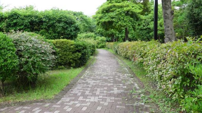 日本东京的木叶公园，绿园