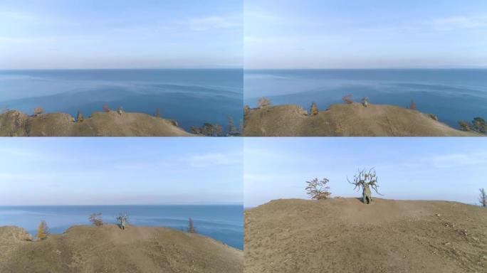 著名旅游胜地贝加尔湖宁静的鸟瞰图-贝加尔湖守护者树美丽的风景。