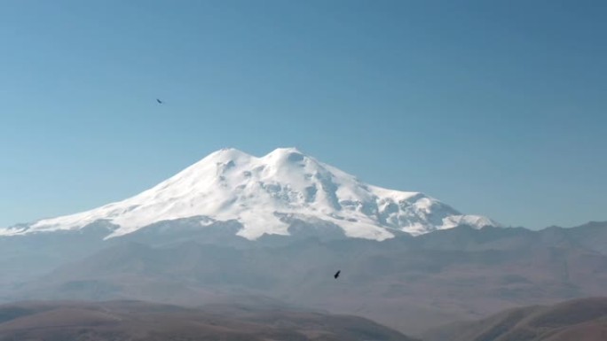 山鹰在雪山景观上飞翔。捕食者鸟类在卡巴尔达-巴尔卡里亚的白雪皑皑的Elbrus山上狩猎。野生自然和动