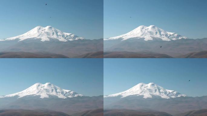 山鹰在雪山景观上飞翔。捕食者鸟类在卡巴尔达-巴尔卡里亚的白雪皑皑的Elbrus山上狩猎。野生自然和动