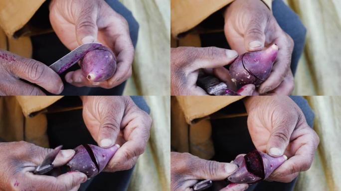 一位老人在摩洛哥索维拉的农贸市场上剥了一个紫色的刺梨 (仙人掌水果)。