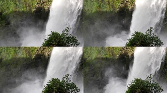 小川瀑布位于日本鹿儿岛县南隅町。
