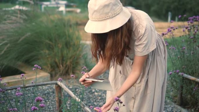 女人使用智能手机拍摄鲜花。