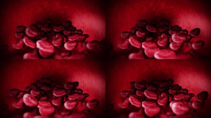人体循环系统。人体血管与红细胞的3D循环动画。医疗保健标志。