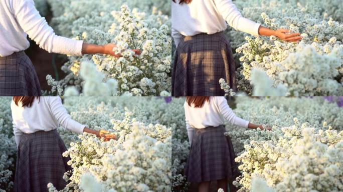 年轻女子走在大片白花丛中