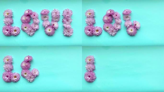 定格动画粉红色菊花花的爱情一词出现，然后在精致的蓝色背景上消失。