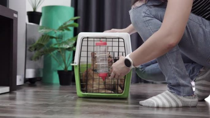 亚洲妇女收养了一只猫到新家。