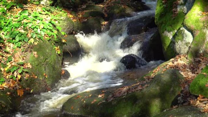 秋天的森林溪流山涧溪流阳光落叶流水
