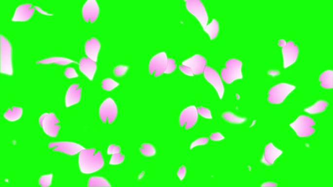 粉色樱花叶粒子循环动画