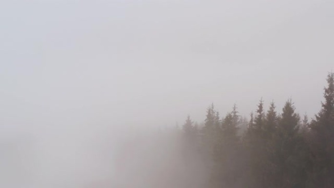 鸟瞰图。阴天秋日神秘的山景。高地的雾森林。自然背景。喀尔巴阡山脉。多云灰色的冬季景观