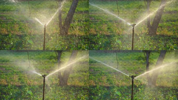 自动喷水装置，用小水滴浇灌绿色景观。