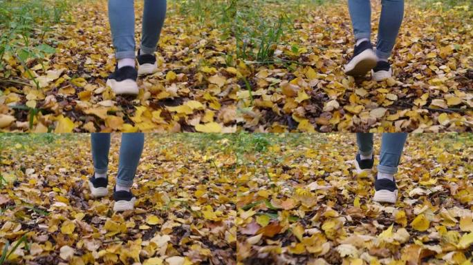女性脚的特写。走在秋天落叶的森林小径上