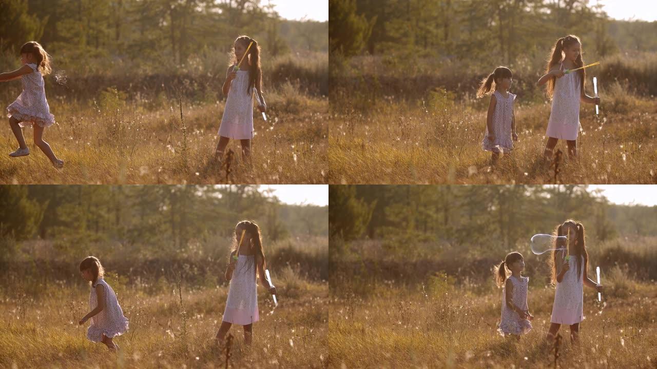 在阳光明媚的夏日，孩子们在森林附近的草地上玩得开心。一个七岁的女孩在制造大气泡，她四年的妹妹跑去抓。