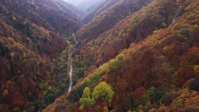秋季天线。空中公路旅行在雾中蜿蜒的山路上，汽车在秋天经过五颜六色的森林。