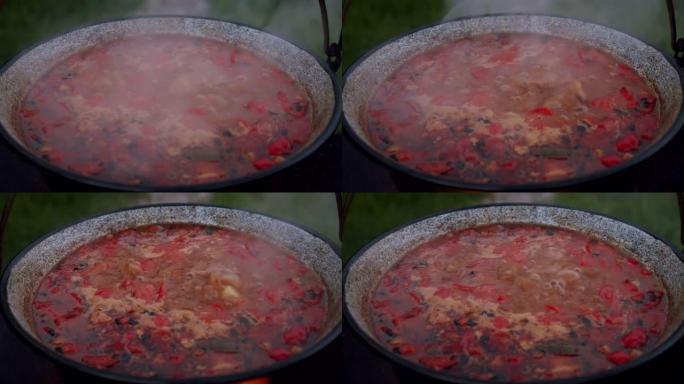 一勺蘑菇汤，在明火上的大锅中煮熟。慢动作V8