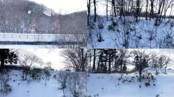 日本札幌火车上的雪景。