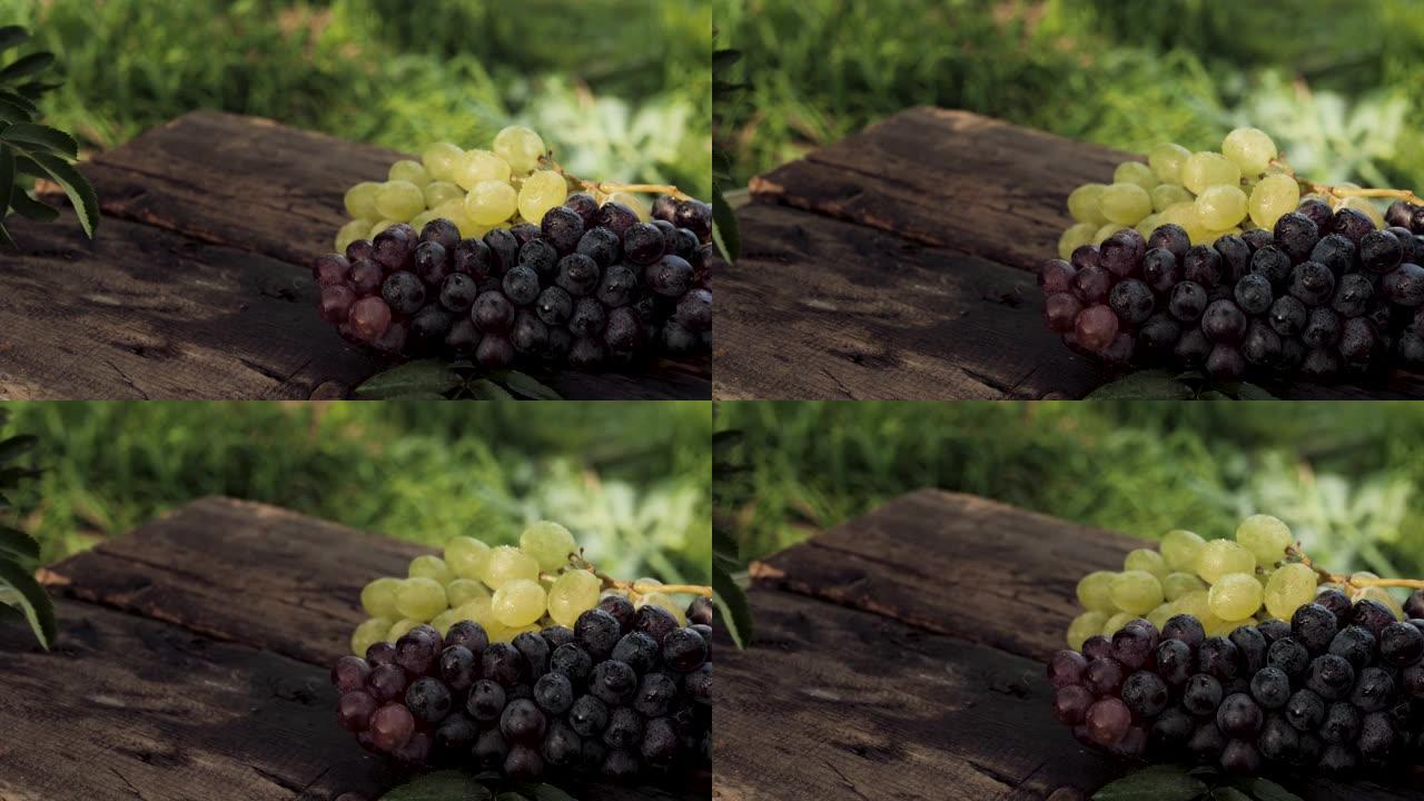 在大自然的晴天，一束葡萄躺在外面的木桌上。特写