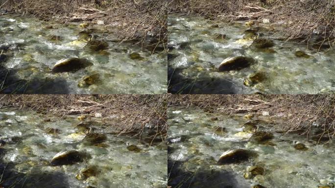 清水山河背景。在纯净的透明河水中关闭石头。底部的水可以看到石头。有河的声音。河流上的树枝