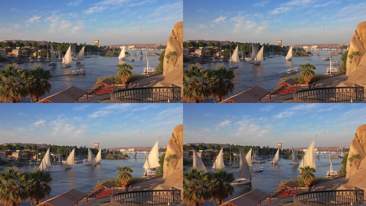 埃及阿斯旺尼罗河上的费卢卡船