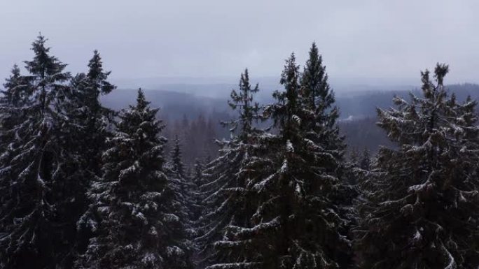 以4k拍摄的雪雾笼罩的冬季森林