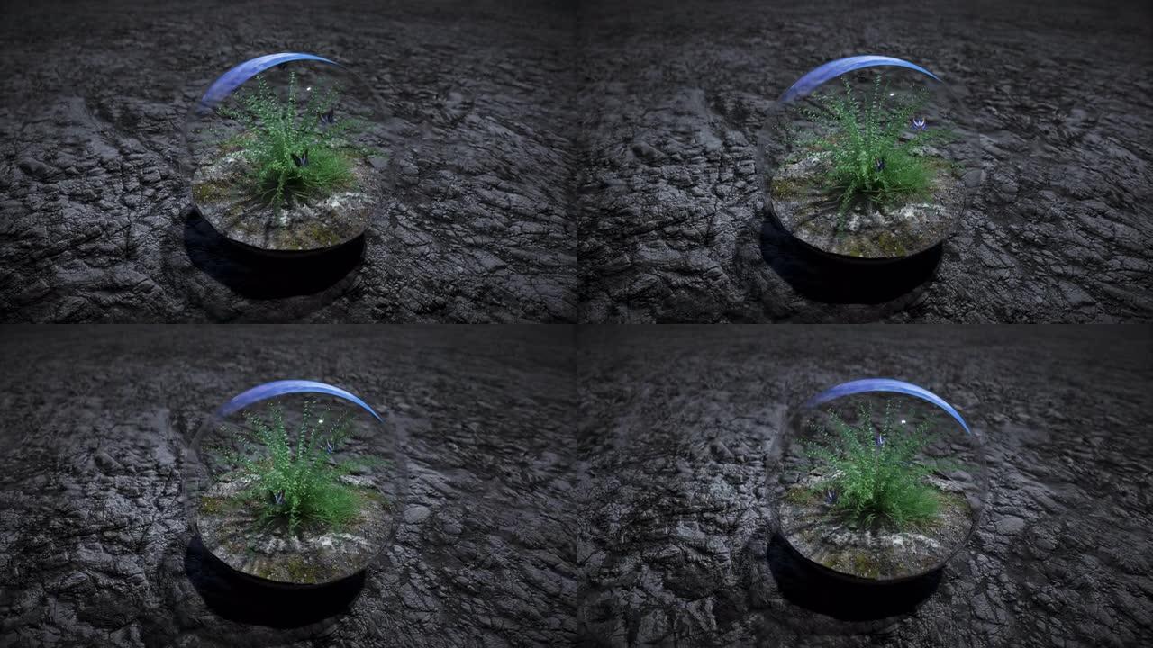 外层空间玻璃球中的草。生态学概念。3d渲染。
