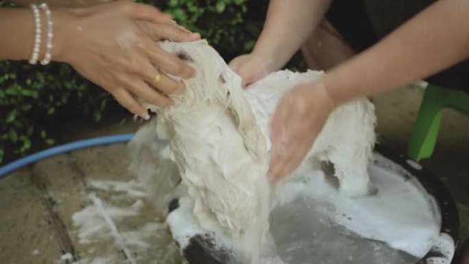 洗家里的狗。