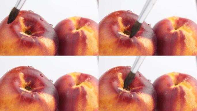 艺术家用刷子在桃子上画画。艺术家的画笔特写。新鲜多汁的桃子放在白色盘子里。