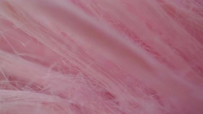 4k多莉拍摄抽象宏观粉色毛皮。
