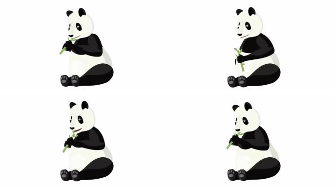 熊猫。吃芦苇的熊猫的动画。卡通
