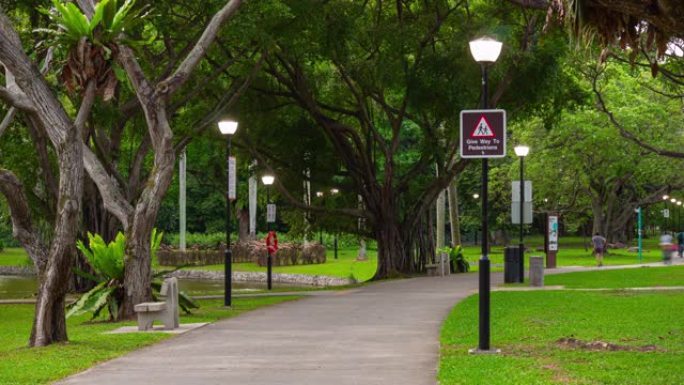 新加坡城市公园路延时全景4k