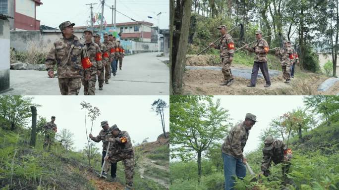 新农村建设 治安巡逻 森林防火 植树造林