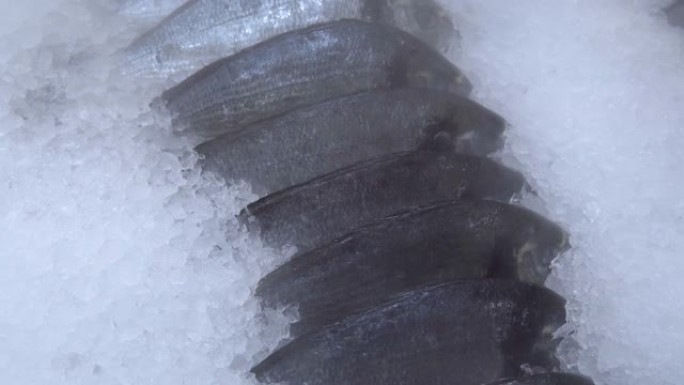 大卖场冰上的新鲜多拉多鱼。它被冷冻的空气吹了
