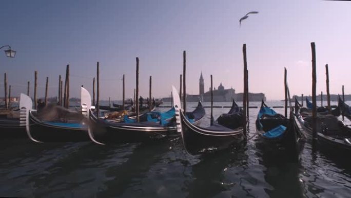 贡多拉船在威尼斯海滨上下摆动，海鸥飞过