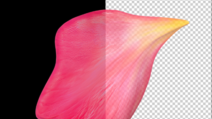贴图单个樱花桃花花瓣动画超清4K画质