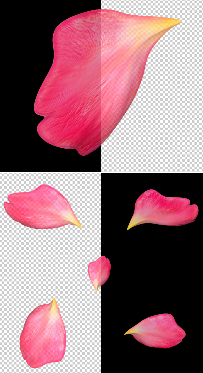 贴图单个樱花桃花花瓣动画超清4K画质