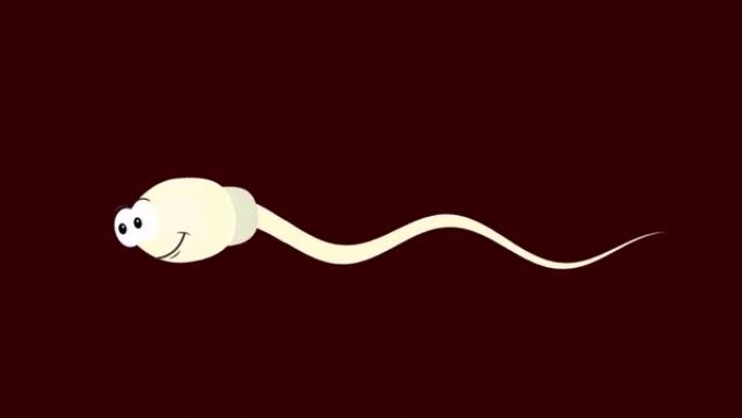 精子。精子角色的动画。卡通